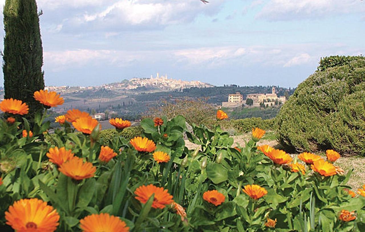 Agriturismo Fattoria Il Piano - Appartamento Focolare - San Gimignano Exterior foto